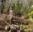 зарница - Город Вилючинск